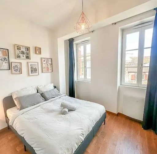 Belle Vue A Saint-cyprien-parking-hyper Centre * Toulouse