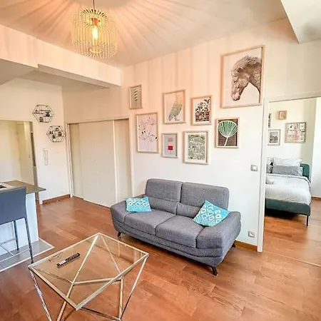 Belle Vue A Saint-cyprien-parking-hyper Centre Apartment Toulouse